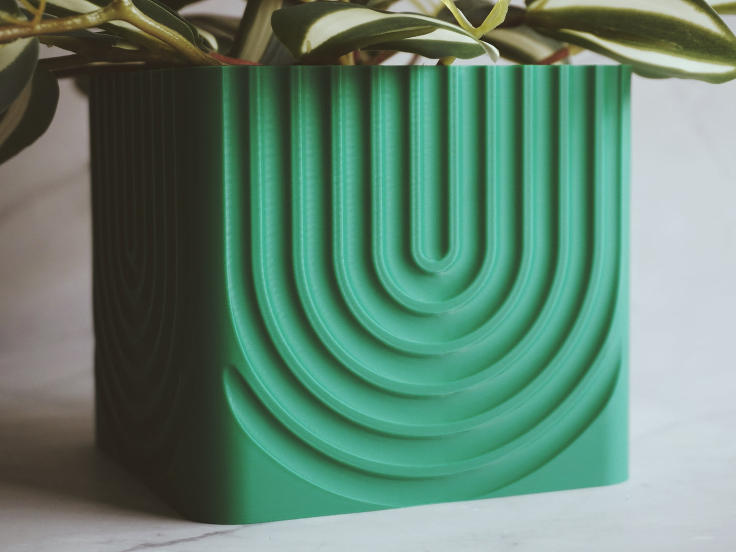 Minimal Plant Pot | Planter